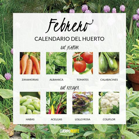 Calendario de siembra para el huerto urbano qué plantar y cosechar
