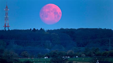 Top 127 Imágenes De La Luna Rosa Destinomexico Mx