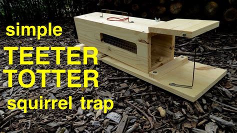How To Make A Simple Humane Teeter Totter Squirrel Trap Youtube