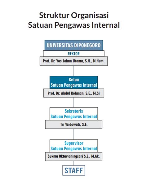 Struktur Organisasi Satuan Pengawas Internal UNDIP
