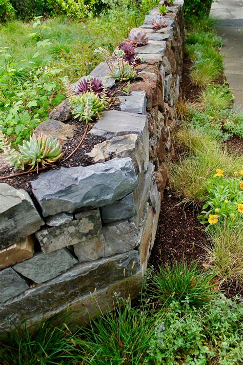 A Dry Laid Stone Wall With Habitat Meadow Plantings And Top Dressed