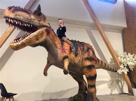 View the official lists that include im land der dinosaurier. Dinosaurier-Show - Im Land der Giganten - Mistelbach