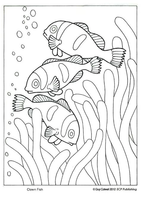 Color online with this game to color animals coloring pages and you will be able to share and to create your own gallery online. Clown Fish Coloring Page at GetColorings.com | Free ...