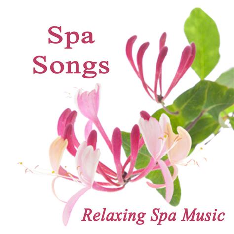 Spa Songs And Relaxing Spa Music Harp And Flute Playlist By Spa Spotify