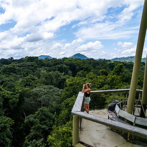 Panama Rainforest Discovery Center Seis Horas Menos