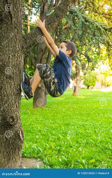 Boy Climbing A Tree In Summer Stock Image Image Of Summer Activity