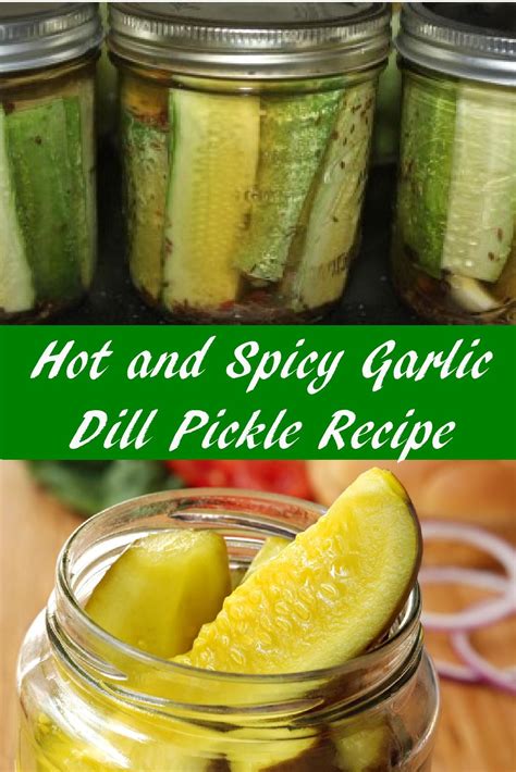 How To Make Hot And Spicy Pickles Amazing Flavor In Every Bite Recipe Dill Pickle Recipe