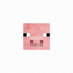 Minecraft Head Icon Pig Animal Getdrawings