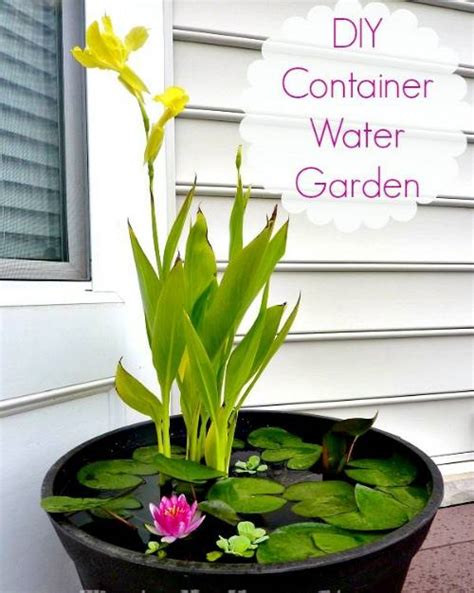 Diy Container Water Garden