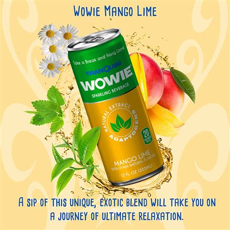 Buy Wowie Infused Sparkling Beverage For Stress And Anxiety Relief