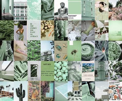 200 Sage Green Aesthetic Wallpapers For Free