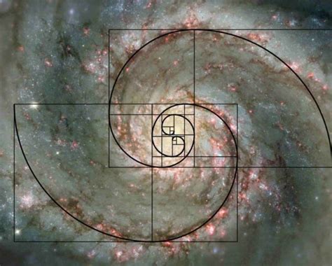 The Golden Ratio And How To Use It In Graphic Design