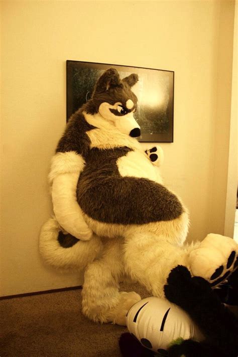 Rioku 🏳️‍🌈 on Twitter | Fursuit furry, Anthro furry, Character design