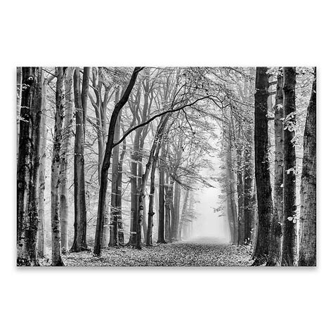 Black And White Forest 24 Inch X 36 Inch Canvas Wall Art Bed Bath