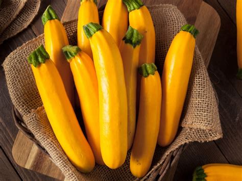 Golden Zucchini Information Learn About Growing Golden Zucchini Plants