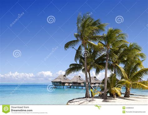 The Island With Palm Trees In The Ocean Stock Photo