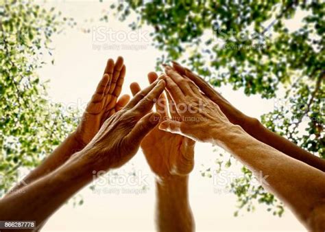 Group Of Hands Coming Together Stock Photo Download Image Now