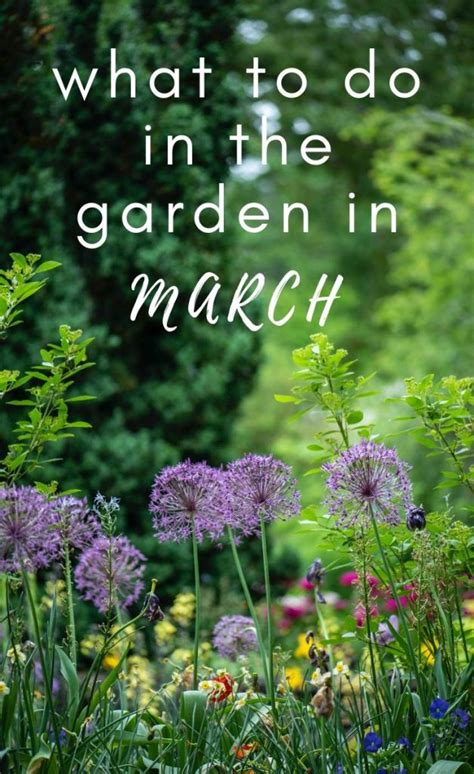 Their flowers come in a variety of styles, most with black in the centre, and can be bicoloured, frilly and even striped. Gardening Calendar: What to Plant in March - Growing Family