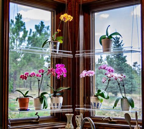 Window Plant Shelf Hanging Shelf Plant Shelves Plant Etsy In 2020
