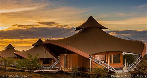 Top 10 Best Masai Mara Luxury Safari Lodges And Camps Safaribookings