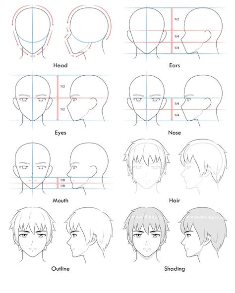 Amvworld ~ How To Draw Anime And Manga Male Head And Face