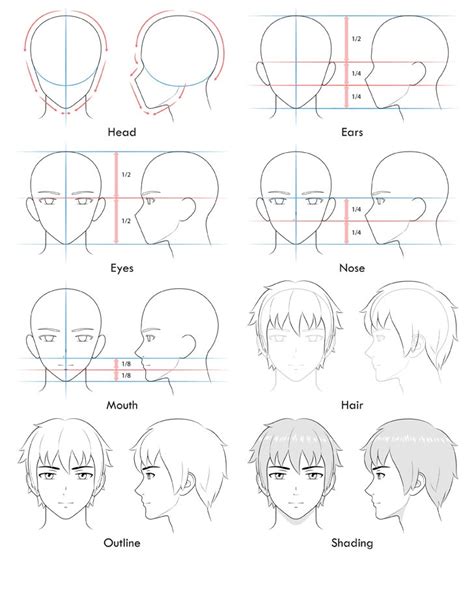We did not find results for: AmvWorld ~ How to Draw Anime and Manga Male Head and Face