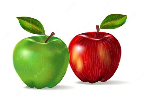 Premium Vector Realistic Image Of Two Fruits Red And Green Apples