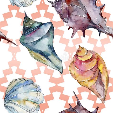 Summer Beach Seashell Tropical Elements Watercolor Background