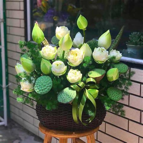 Summary Of Ways To Arrange White Lotus Flowers To Create Accents For