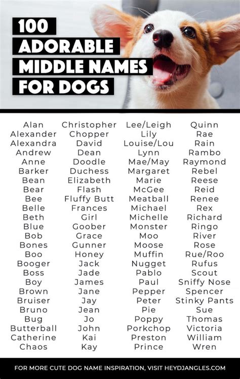 100 Adorable Middle Names For Dogs Hey Djangles
