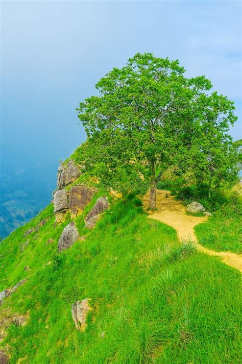 Green Mountains Of Sri Lanka Stock Photo Image Of Adam Ecotourism