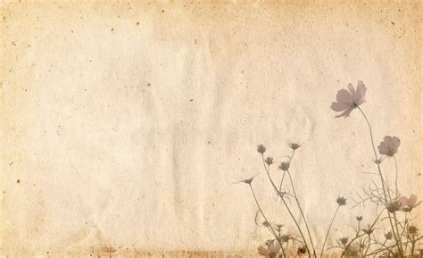 Old Paper Flower Background