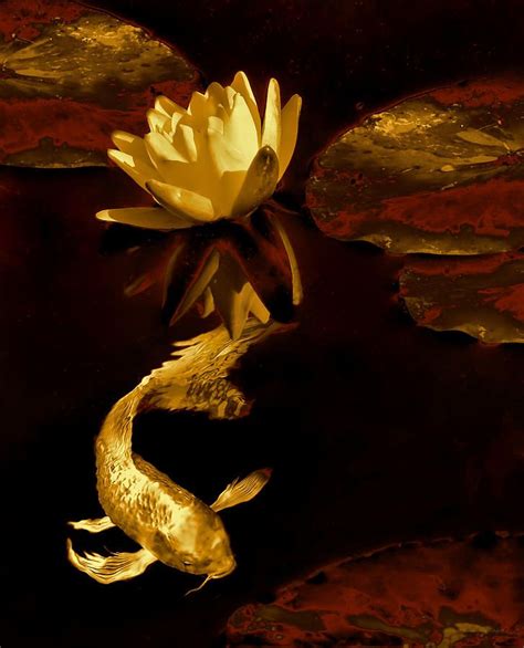 Koi Photograph Golden Koi Fish And Water Lily Flower By Jennie Marie