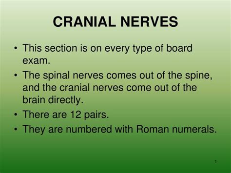 Ppt Cranial Nerves Powerpoint Presentation Free Download Id460654