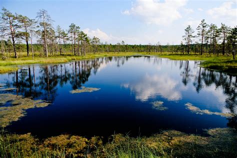 Lahemaa National Park In Estonia Lahemaa Stands For Beautiful Natural