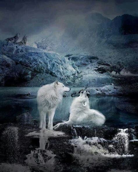 767 Best Images About Wolfs On Pinterest