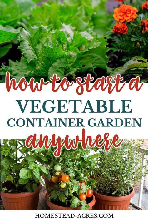 Several Potted Plants With The Words How To Start A Vegetable Container