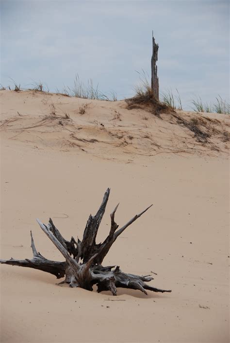 Maybe you would like to learn more about one of these? Mac Woods Dune Rides, Silver Lake, Michigan. | Ancient ...