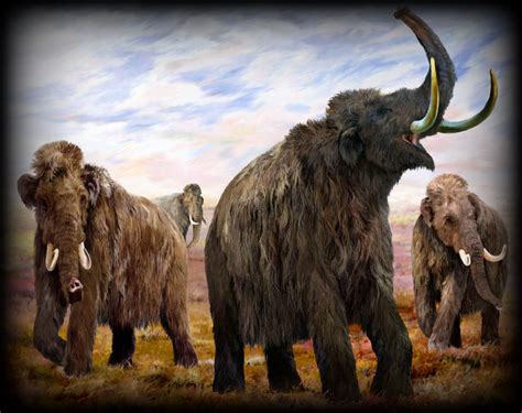 Prehistoric Wooly Mammoth Herd Prehistoric World Prehistoric Creatures