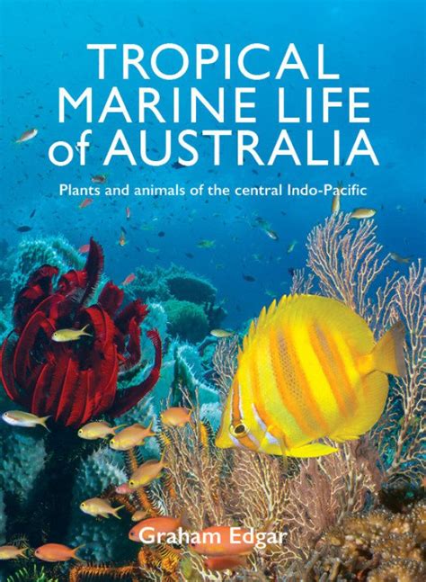 Tropical Marine Life Of Australia Plants And Animals Of The Central