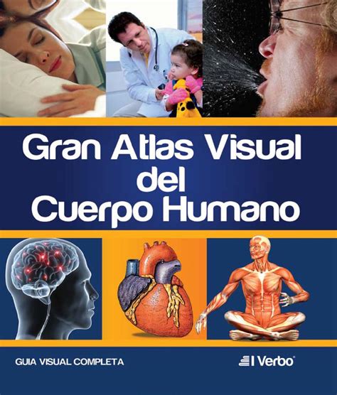 Gran Atlas Visual De Anatomia Humana By El Verbo Editores Issuu