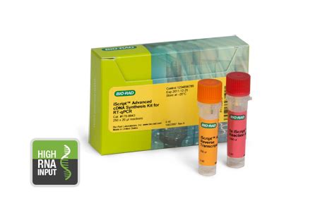A cdna/ complementary dna is synthesized from the mrna using the enzyme known as contrary to the central dogma process, the cdna synthesis process is reverse! iScript Advanced cDNA Synthesis Kit for RT-qPCR | Life ...