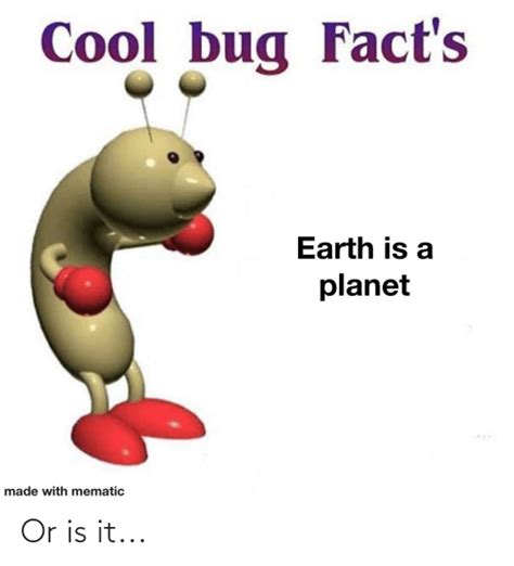 Cool Bug Facts Earth Is A Planet Made With Mematic Or Is It Facts