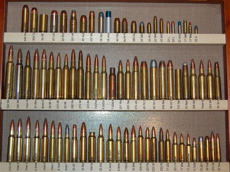 Ammo And Gun Collector Some Nice Ammo Collections Pictures