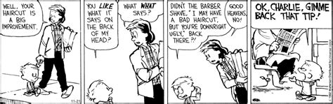 Best Haircut Ever Calvin And Hobbes Quotes Calvin And Hobbes Comics