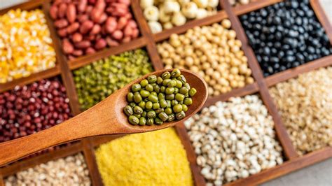 Protein nabati dan dan protein hewani adalah makronutrien yang penting untuk membangun massa otot. Makanan Sumber Protein Hewani Dan Nabati - Makanan Ku