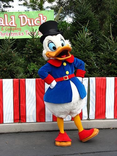 Scrooge Mcduck Costumes Through The Years Meet The