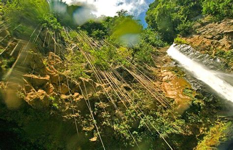 10 top rated tourist attractions in dominica planetware regenwälder schönste wanderwege insel