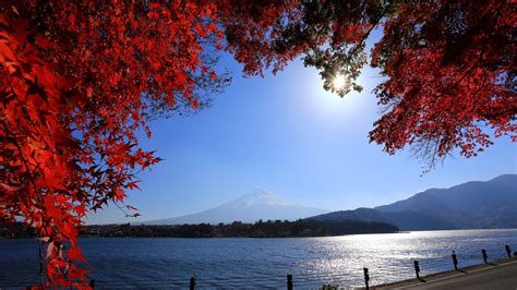 468918 Hills Sun Red Leaves Mount Fuji Mountains Daylight Clear