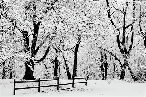 Snowy Backyard 1 Photograph By Michael Hills Fine Art America